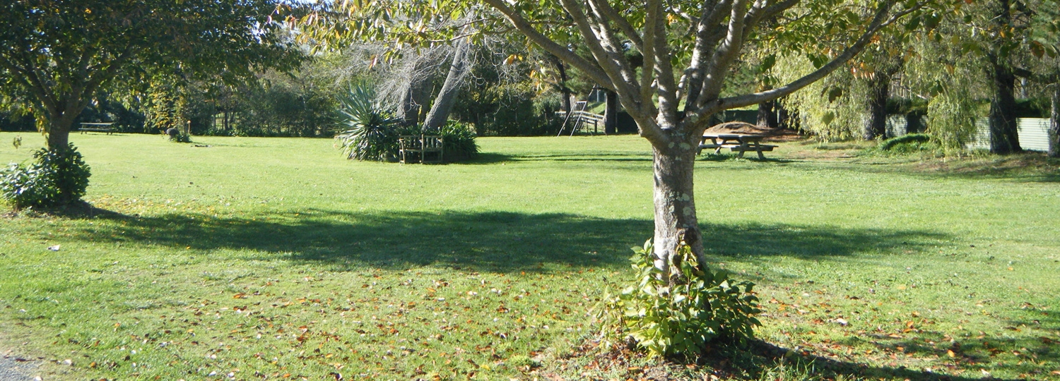 communal facilities for guests