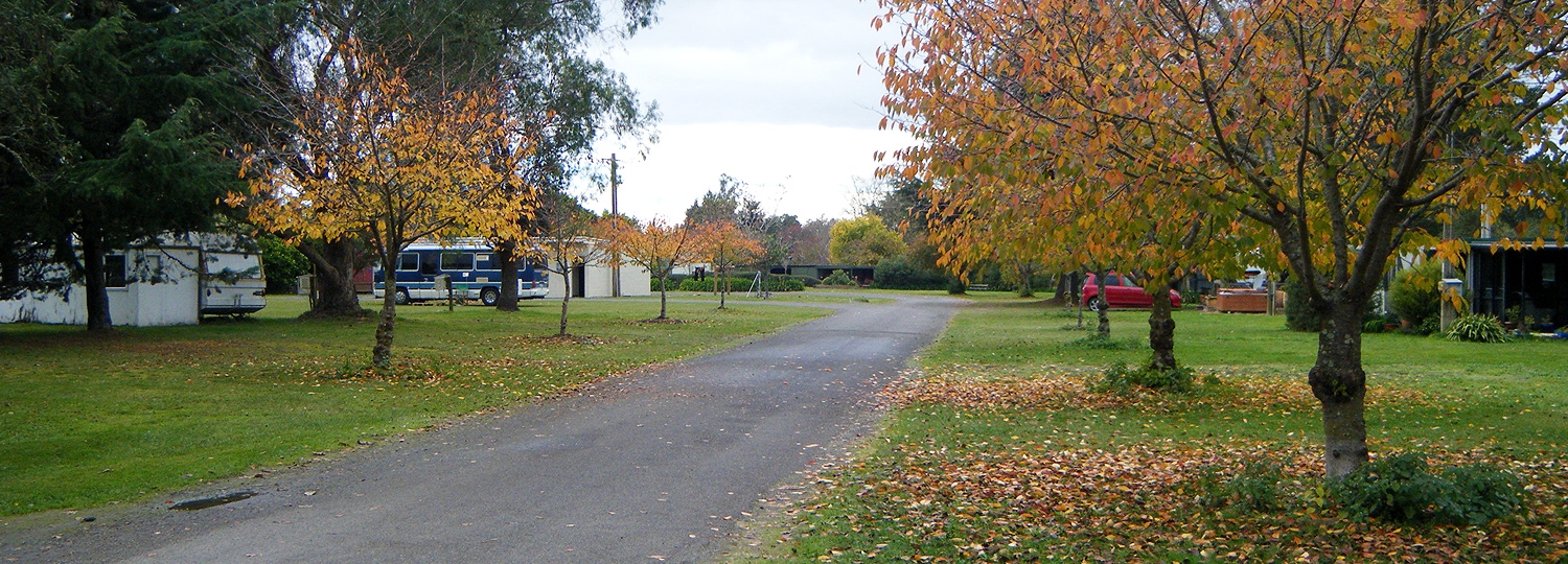 pet-friendly holiday park in Waipawa